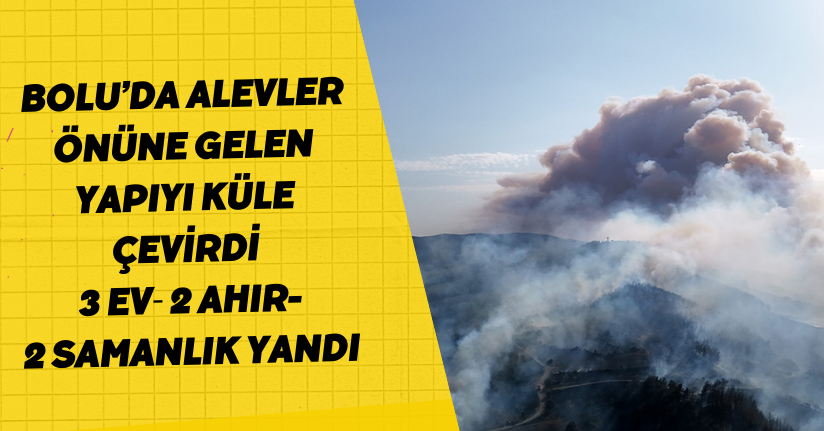 Bolu’da alevler önüne gelen yapıyı küle çevirdi: 3 ev, 2 ahır, 2 samanlık yandı