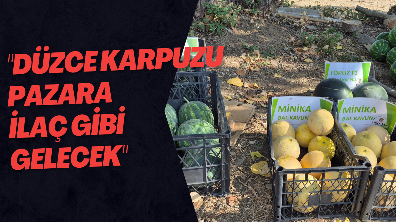 Kavun Ve Karpuz Kasım'a Kadar Sofralarda Olacak