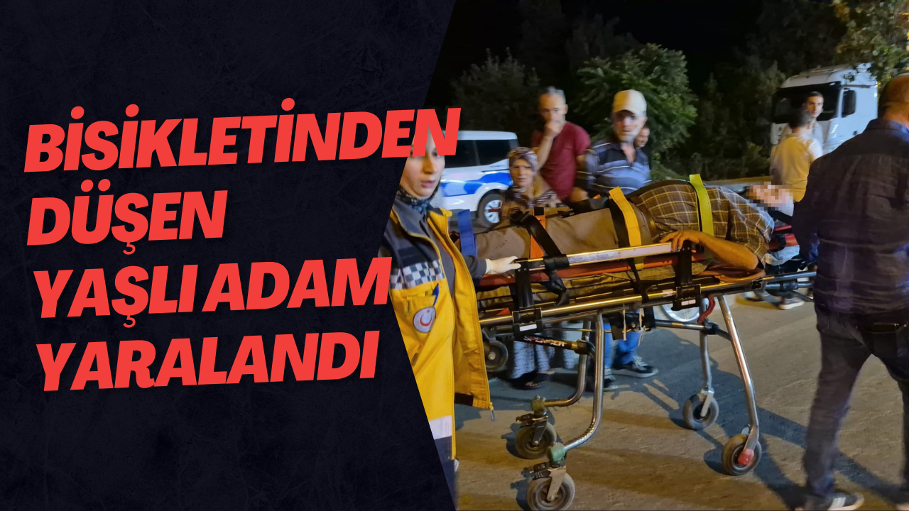 Bisikletinden Düşen Yaşlı Adam Yaralandı