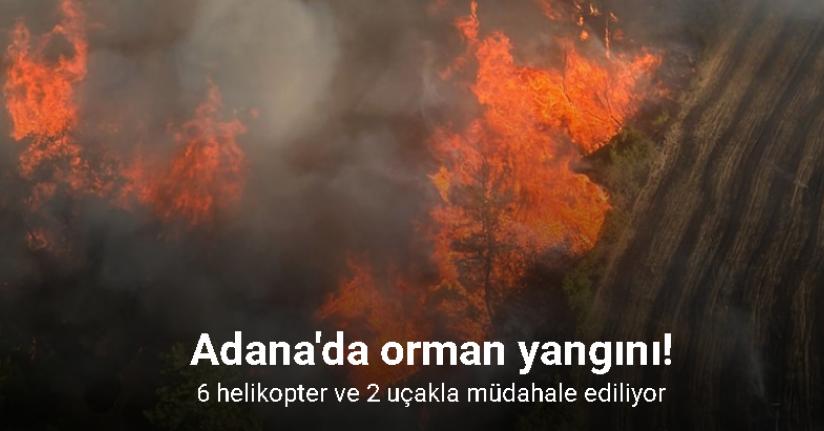 Adana’da orman yangınına 6 helikopter ve 2 uçakla müdahale ediliyor