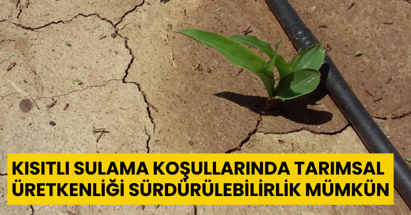 'Kısıtlı sulama koşullarında tarımsal üretkenliği sürdürülebilirlik mümkün