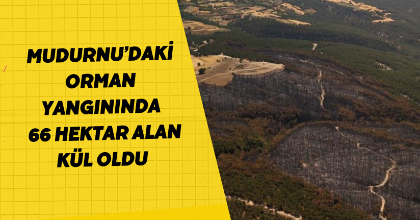 Mudurnu’daki orman yangınında 66 hektar alan kül oldu