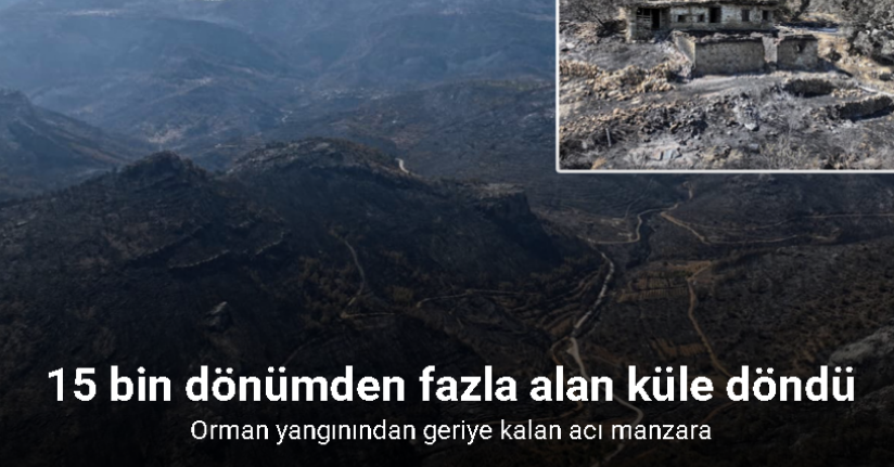Orman yangınından geriye kalan acı manzara: 15 bin dönümden fazla alan küle döndü