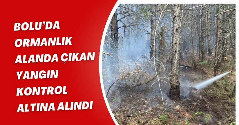 Bolu’da ormanlık alanda çıkan yangın kontrol altına alındı