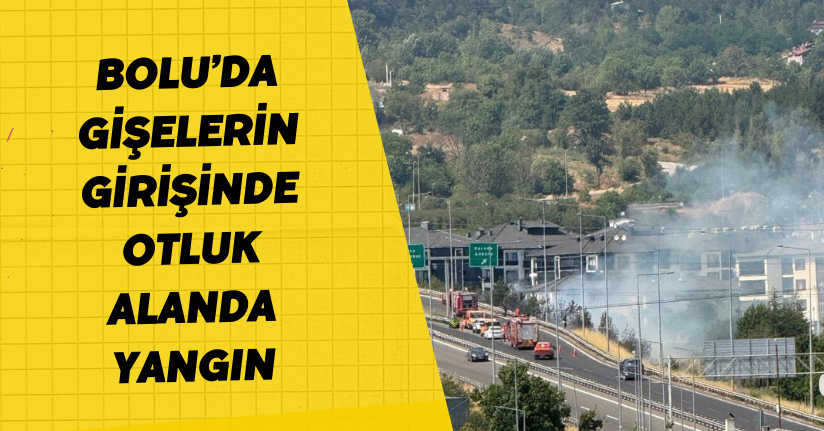 Bolu’da gişelerin girişinde otluk alanda yangın
