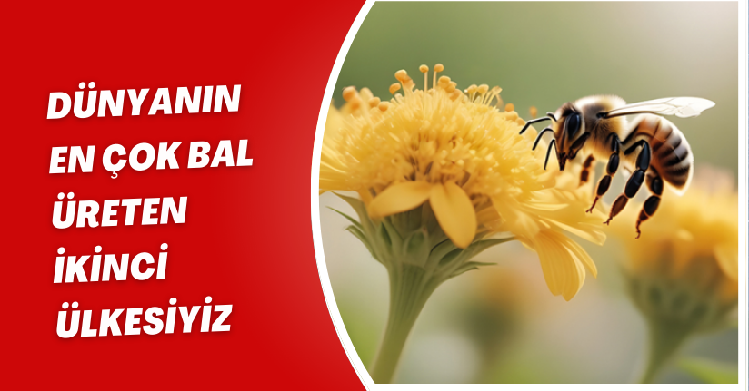 Dünyanın en çok bal üreten ikinci ülkesiyiz