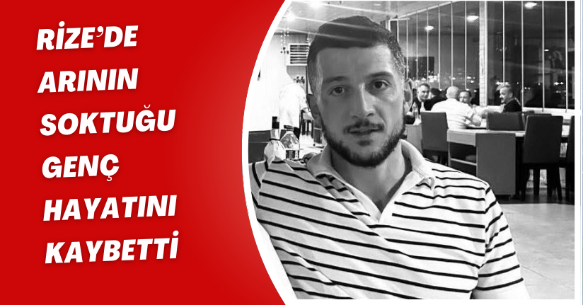 Rize’de arının soktuğu genç hayatını kaybetti