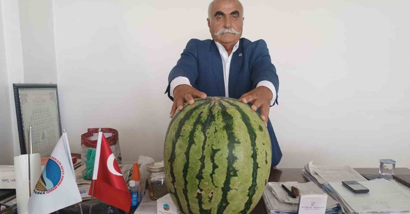 Batman’da 45 kiloluk karpuz dikkat çekti