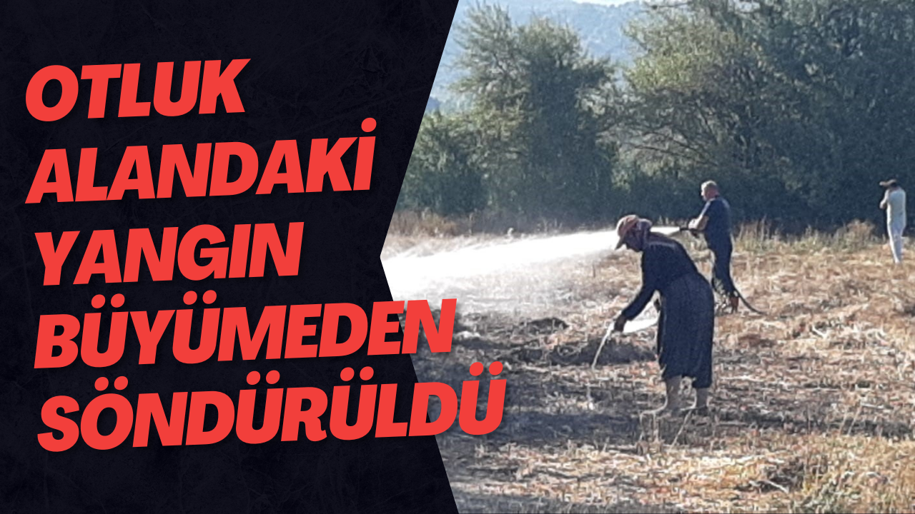 Otluk Alandaki Yangın Büyümeden Söndürüldü
