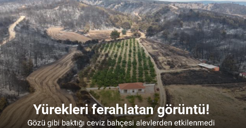 Gelibolu yangınında herkesin yüreğini ferahlatan görüntü