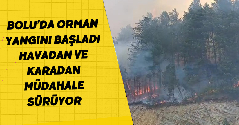 Bolu’da orman yangını başladı: Havadan ve karadan müdahale sürüyor