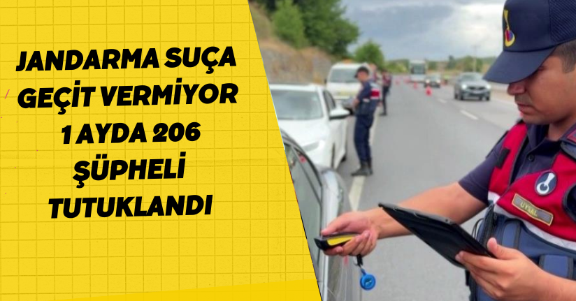 Jandarma suça geçit vermiyor: 1 ayda 206 şüpheli tutuklandı