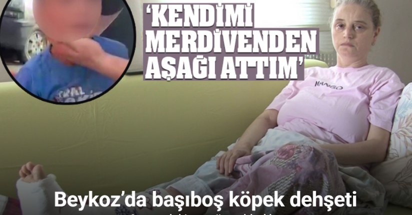 Beykoz’da 6 yaşındaki çocuk başıboş sokak köpeklerinin saldırısına uğradı