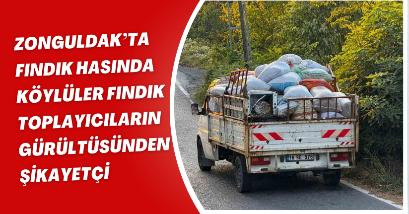 Zonguldak’ta fındık hasında köylüler fındık toplayıcıların gürültüsünden şikayetçi