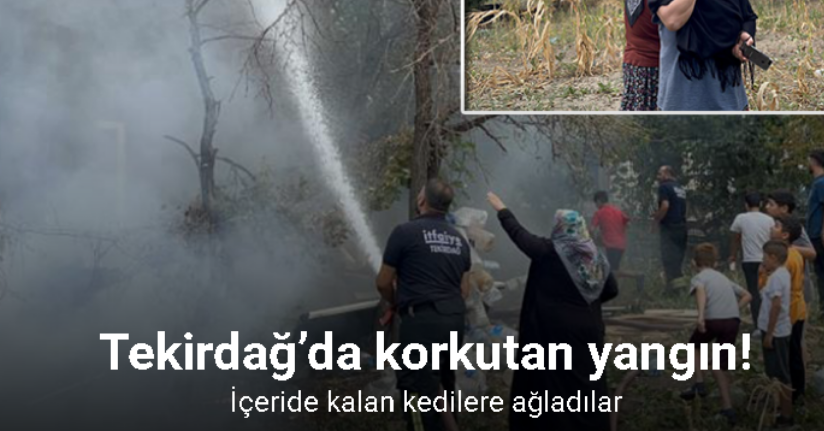 Tekirdağ’da korkutan yangın: İçeride kalan kedilere ağladılar