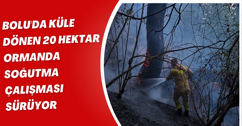 Bolu'da küle dönen 20 hektar ormanda, soğutma çalışması sürüyor