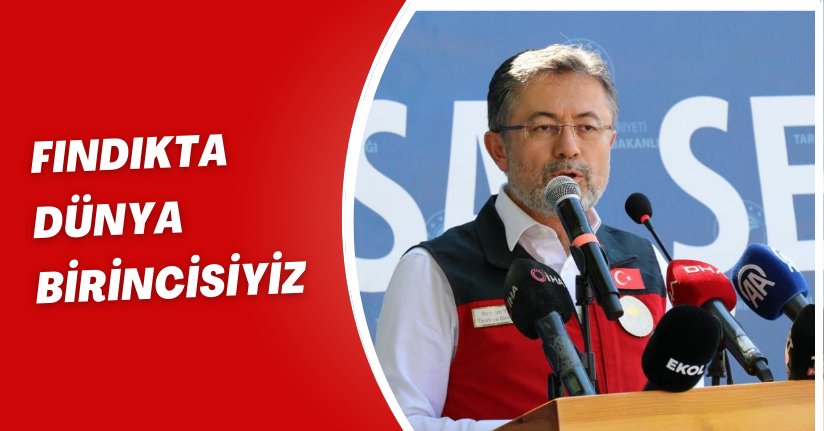 Fındıkta Dünya Birincisiyiz