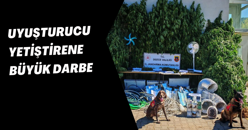 Uyuşturucu yetiştirene büyük darbe