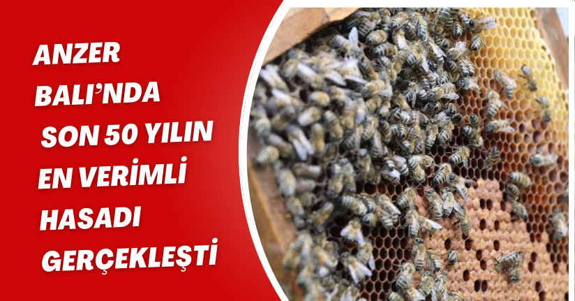 Anzer Balı’nda son 50 yılın en verimli hasadı gerçekleşti