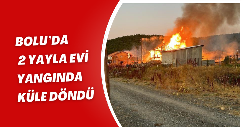 Bolu’da 2 yayla evi yangında küle döndü