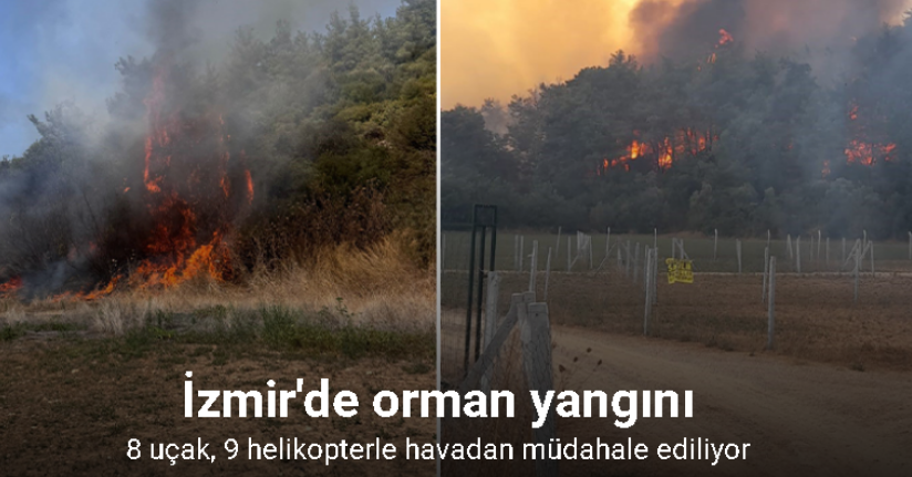 İzmir Menderes’te orman yangını