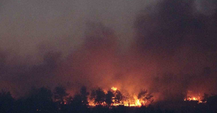 Çanakkale’deki orman yangınına karadan müdahale devam ediyor