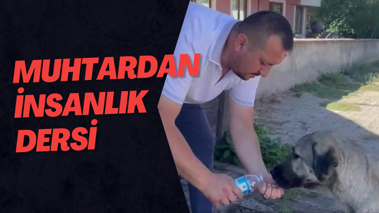 Muhtardan İnsanlık Dersi