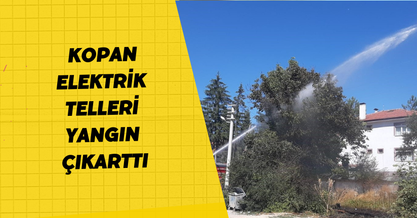 Kopan elektrik telleri yangın çıkarttı