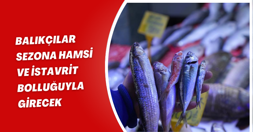 Balıkçılar sezona hamsi ve istavrit bolluğuyla girecek