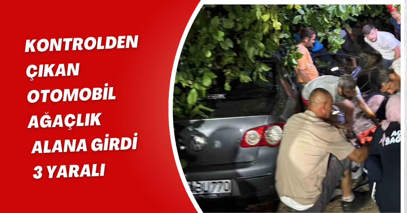 Kontrolden çıkan otomobil, ağaçlık alana girdi: 3 yaralı