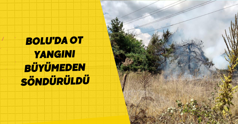 Bolu'da ot yangını büyümeden söndürüldü