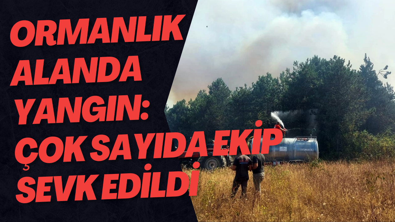 Ormanlık Alanda Yangın: Çok Sayıda Ekip Sevk Edildi