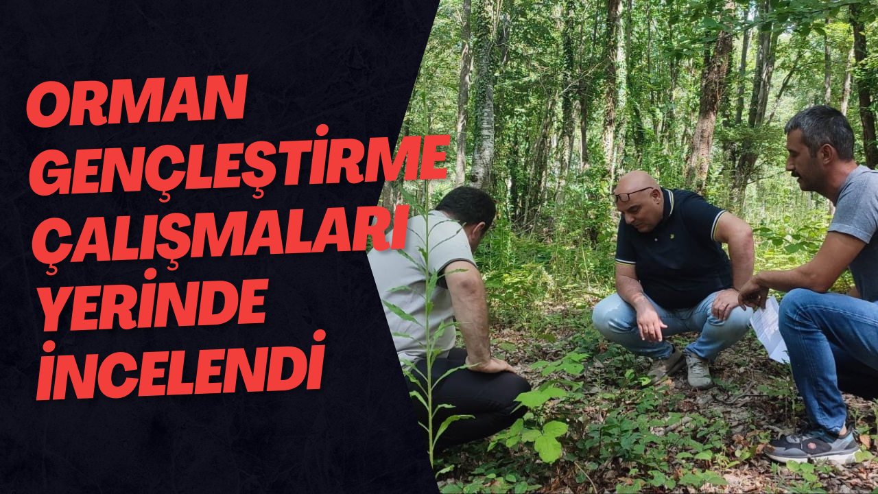 Orman Gençleştirme Çalışmaları Yerinde İncelendi