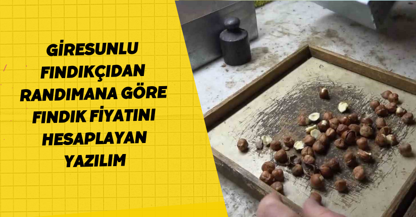 Giresunlu fındıkçıdan randımana göre fındık fiyatını hesaplayan yazılım