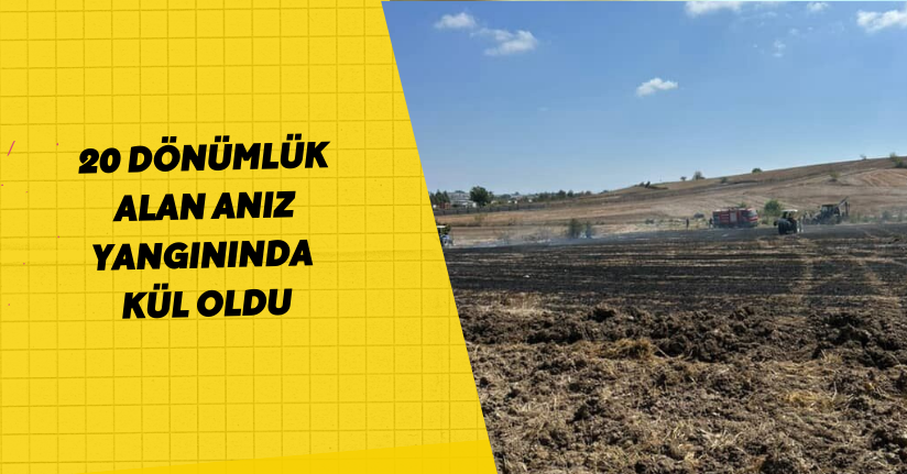 20 dönümlük alan anız yangınında kül oldu
