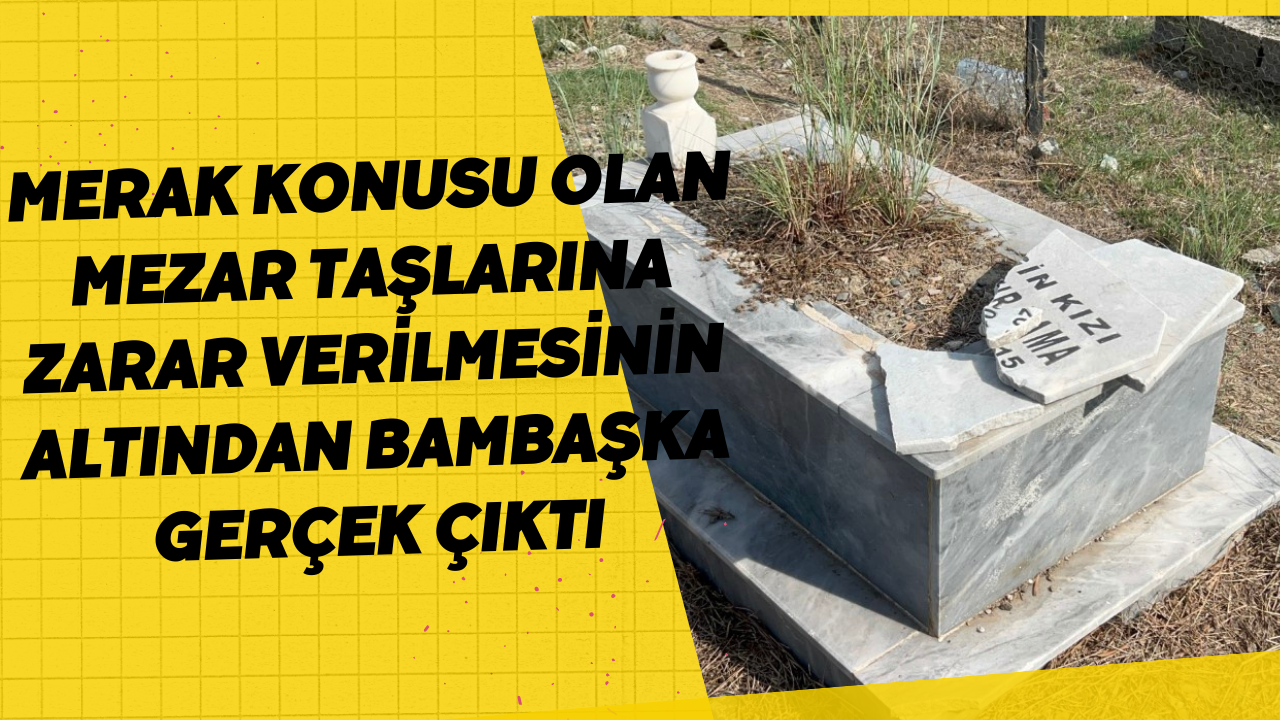 Merak konusu olan mezar taşlarına zarar verilmesinin altından bambaşka gerçek çıktı