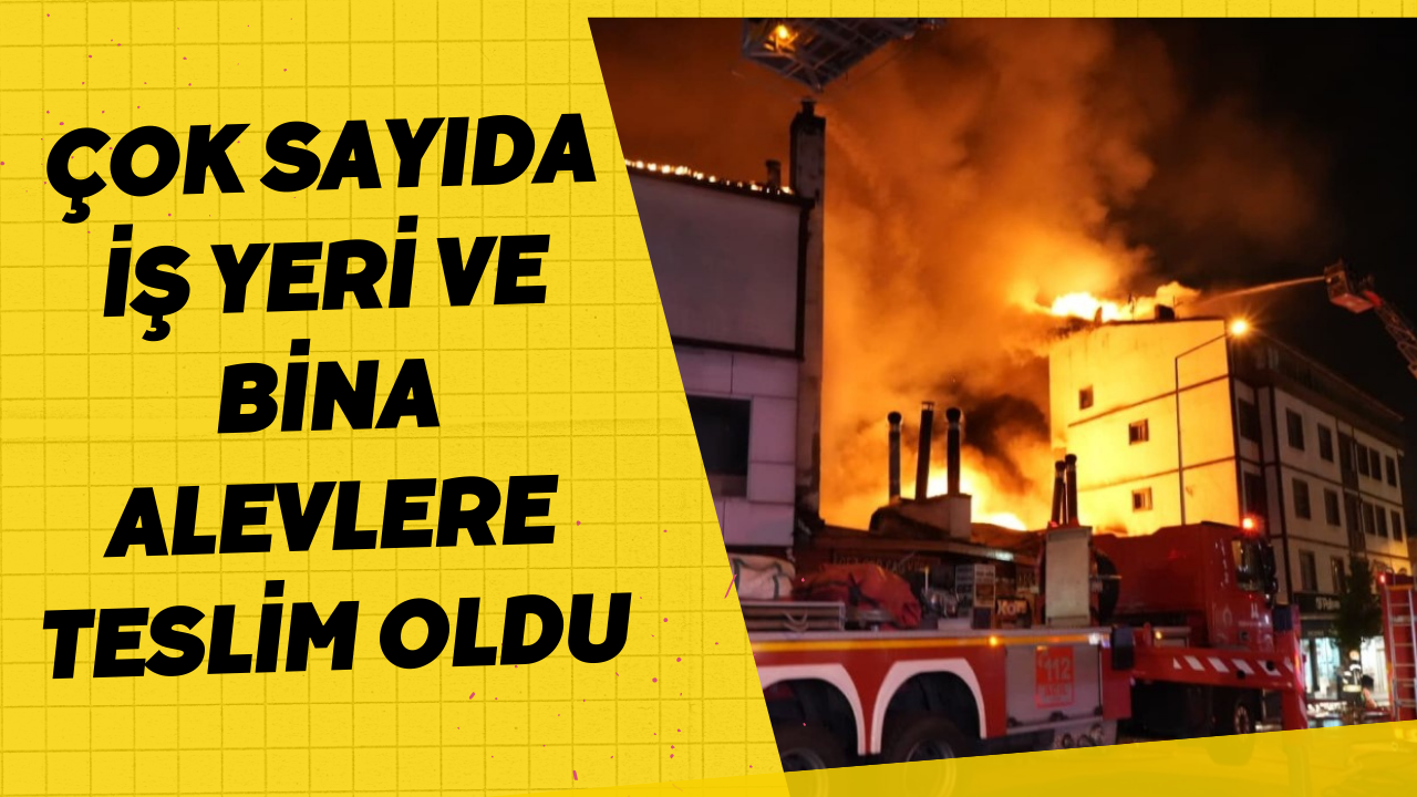 Çok sayıda iş yeri ve bina alevlere teslim oldu