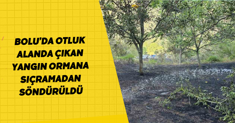 Bolu’da otluk alanda çıkan yangın ormana sıçramadan söndürüldü