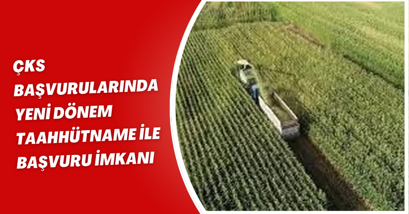 ÇKS Başvurularında Yeni Dönem: Taahhütname ile Başvuru İmkanı