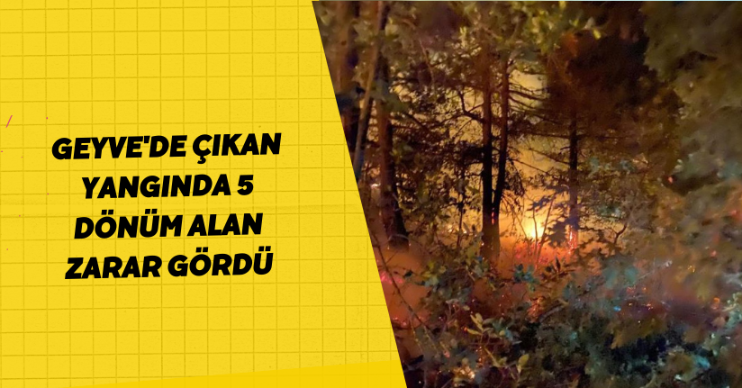 Geyve'de çıkan yangında 5 dönüm alan zarar gördü