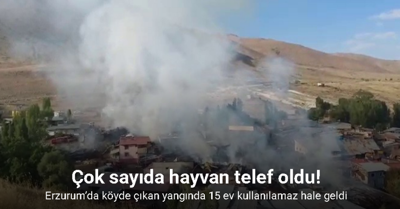 Erzurum’da köyde çıkan yangında 15 ev kullanılamaz hale geldi