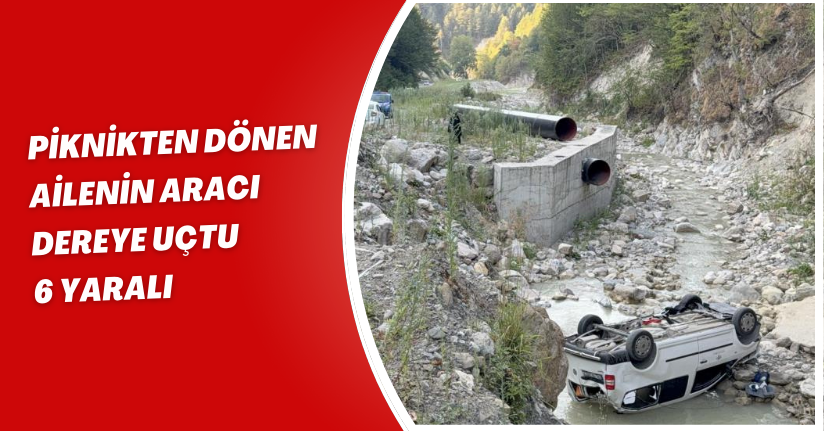 Piknikten dönen ailenin aracı dereye uçtu: 6 yaralı