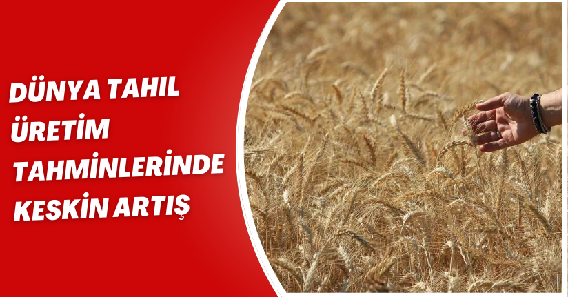 Dünya tahıl üretim tahminlerinde keskin artış