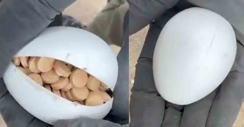 Sürpriz yumurtalardan bile uyuşturucu çıktı: 3 milyon 542 bin adet hap ele geçirildi