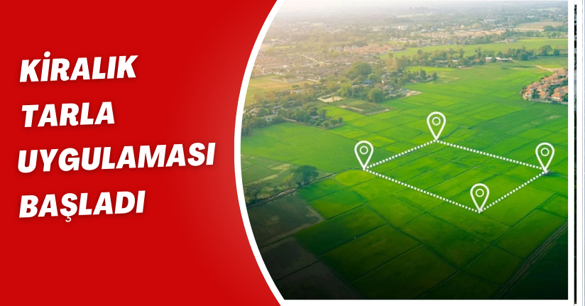 Atıl araziler üretime açılıyor: Kiralık tarla uygulaması başladı