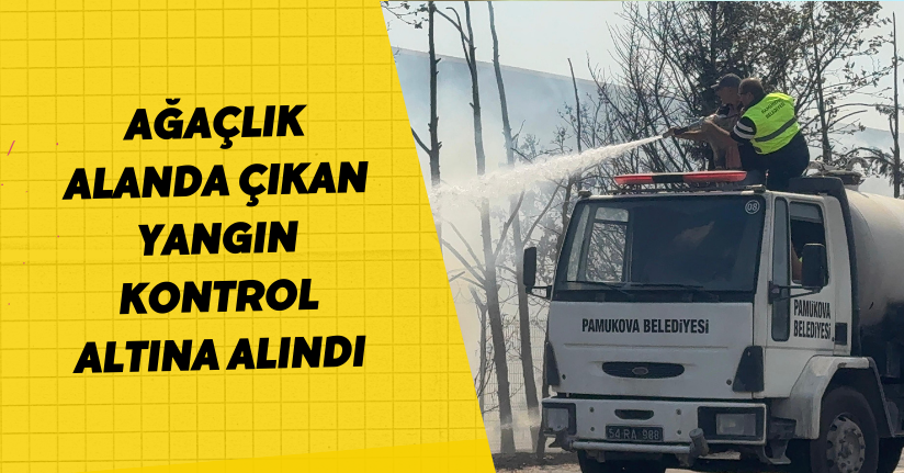 Ağaçlık alanda çıkan yangın, kontrol altına alındı