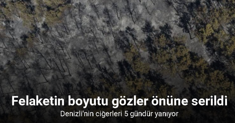 Buldan yangınında felaketin boyutu havadan görüntülendi