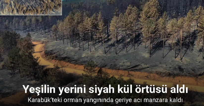 Karabük’teki orman yangınında geriye acı manzara kaldı