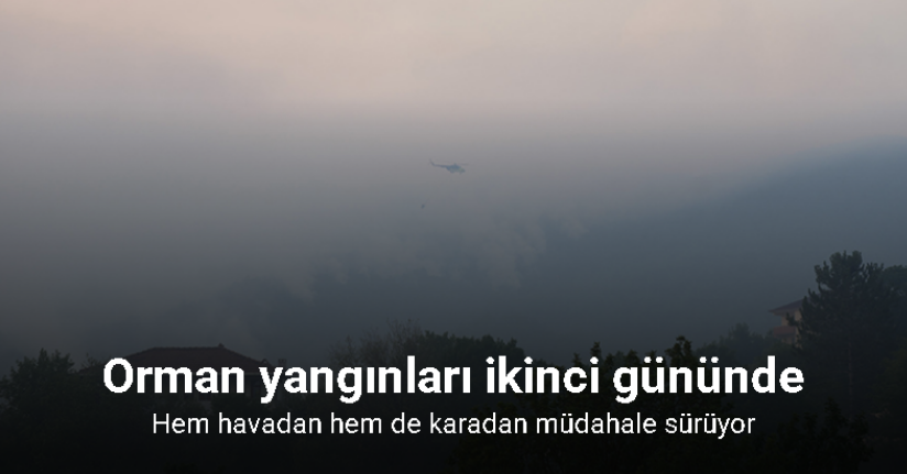 Kastamonu’daki orman yangınları ikinci gününde