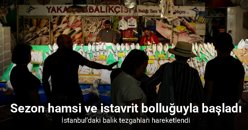 İstanbul’da balık sezonu hamsi ve istavrit bolluğuyla başladı